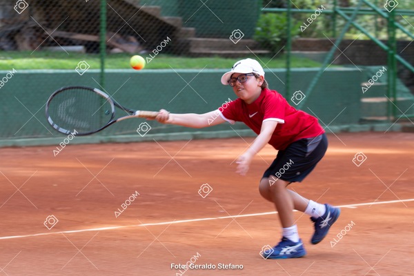 STEF0376.jpg