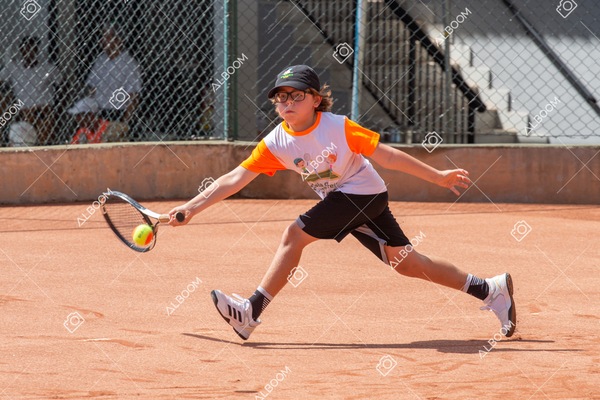STEF8657.jpg