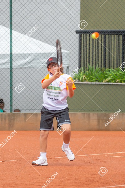 STEF6633.jpg