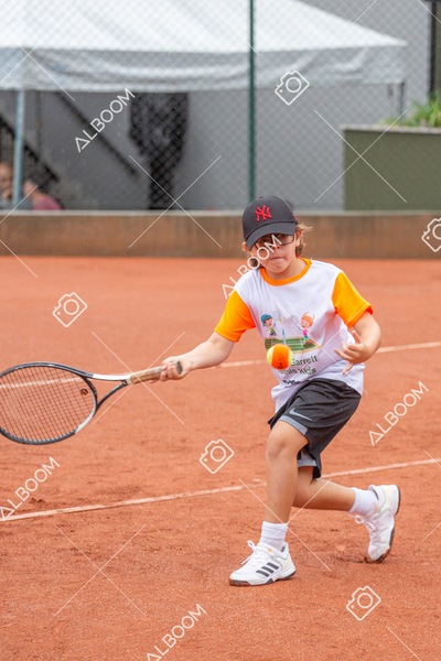 STEF6647.jpg