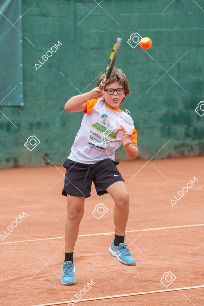 STEF5943.jpg