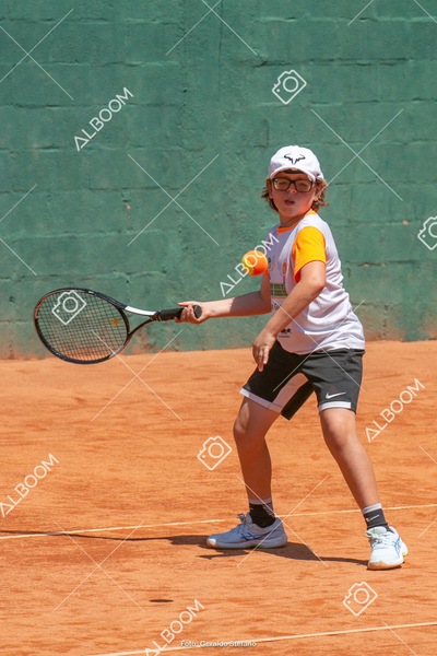 STEF6368.jpg