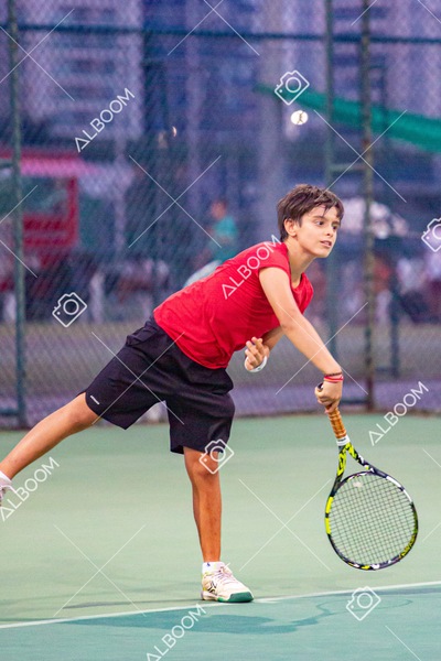 STEF3036.jpg