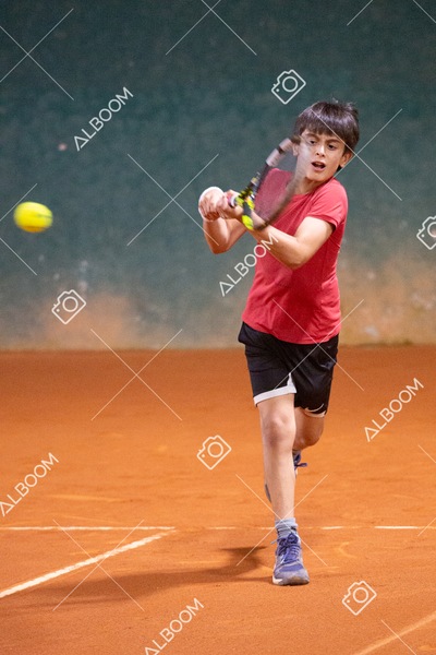 STEF6872.jpg