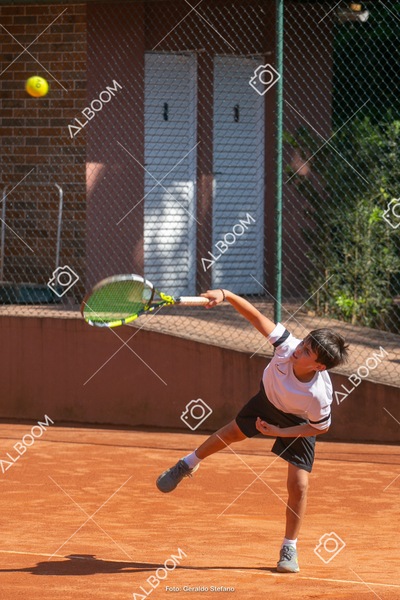 STEF6863.jpg