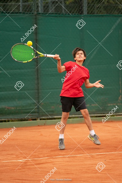 STEF1656.jpg