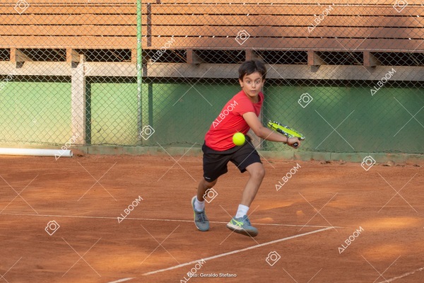 STEF0274.jpg