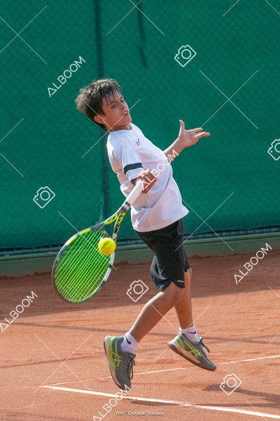 STEF0656.jpg