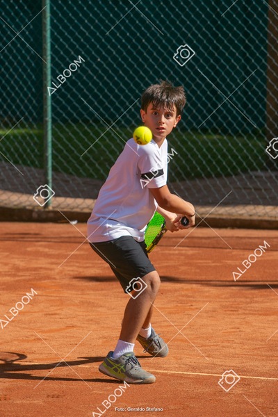 STEF6864.jpg