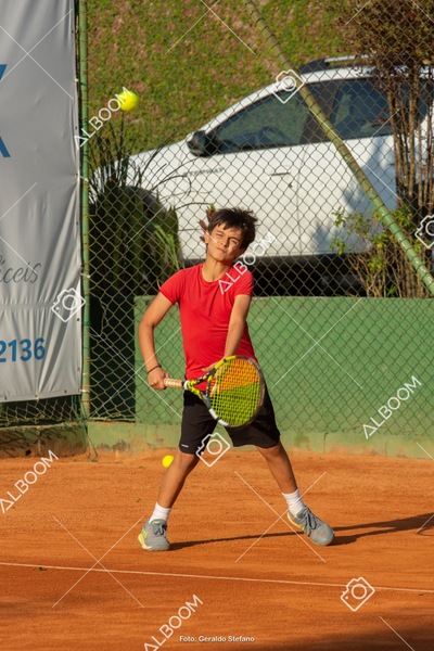 STEF0288.jpg