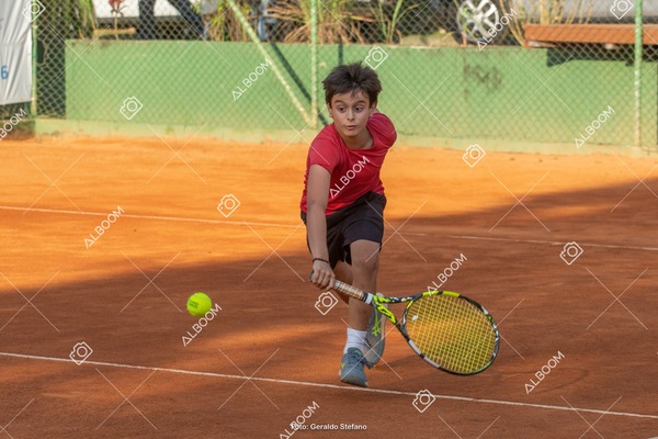 STEF0284.jpg