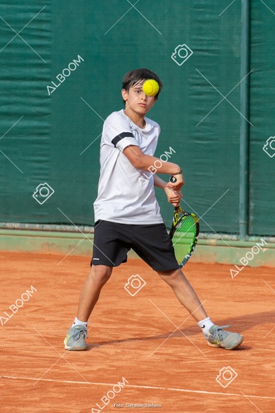 STEF0777.jpg