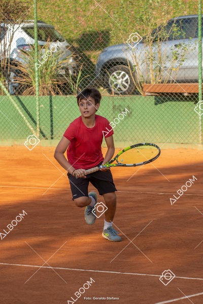STEF0282.jpg