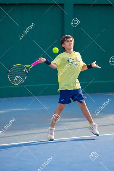 STEF3438.jpg