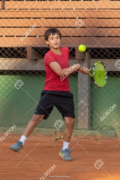 STEF0271.jpg