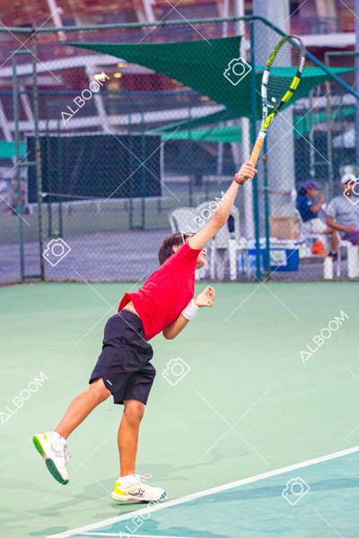 STEF3031.jpg