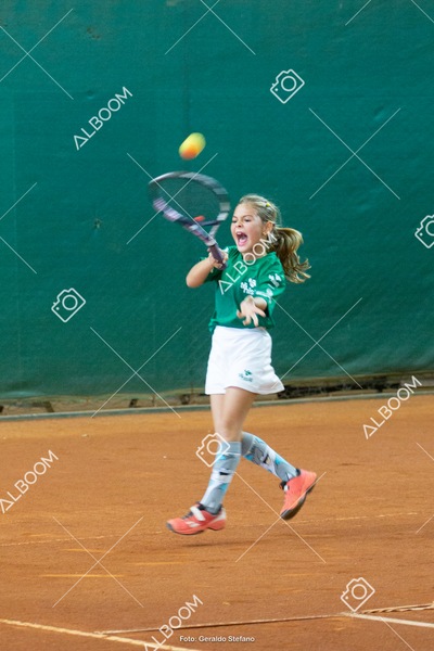 STEF1306.jpg
