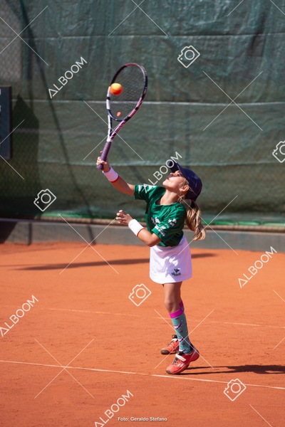 STEF1558.jpg