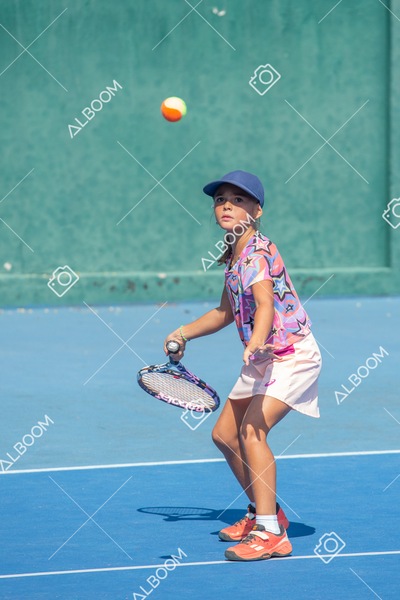 STEF0414.jpg