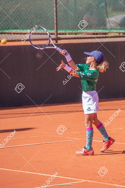 STEF1567.jpg