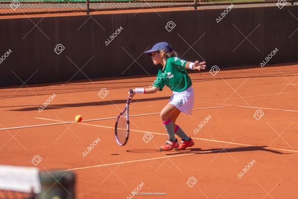 STEF1557.jpg