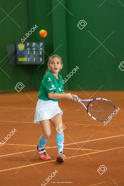 STEF1271.jpg