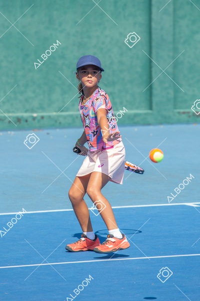 STEF0412.jpg