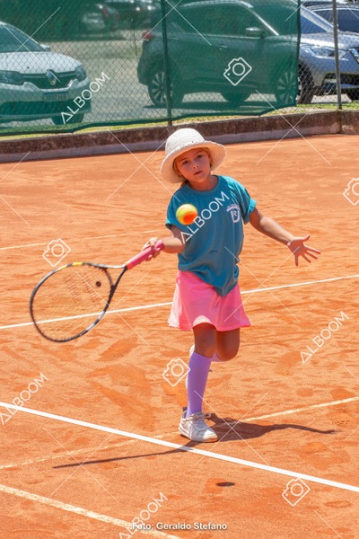 STEF1168.jpg