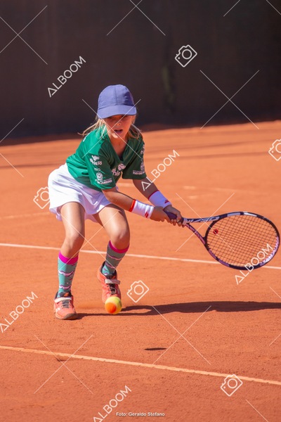 STEF1565.jpg