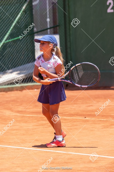 STEF1172 2.jpg