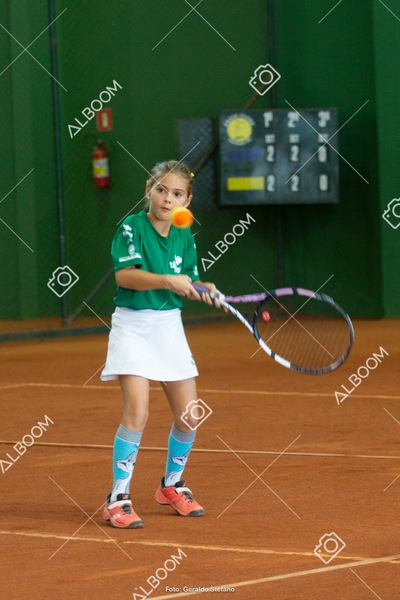 STEF1269.jpg
