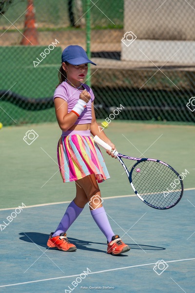 STEF0003.jpg