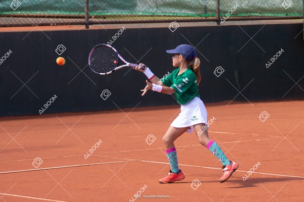 STEF1559.jpg