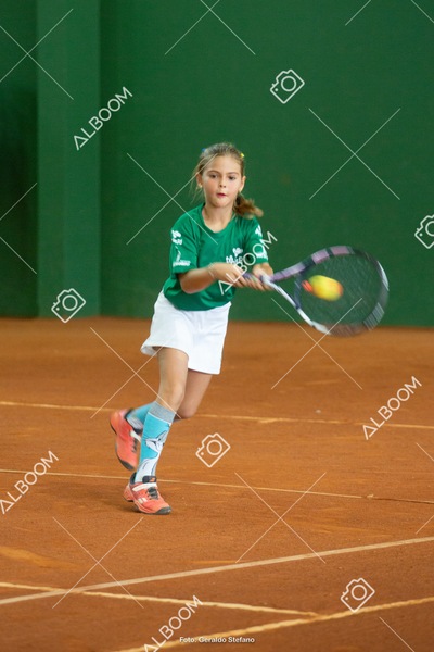 STEF1308.jpg