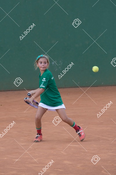 STEF0874.jpg