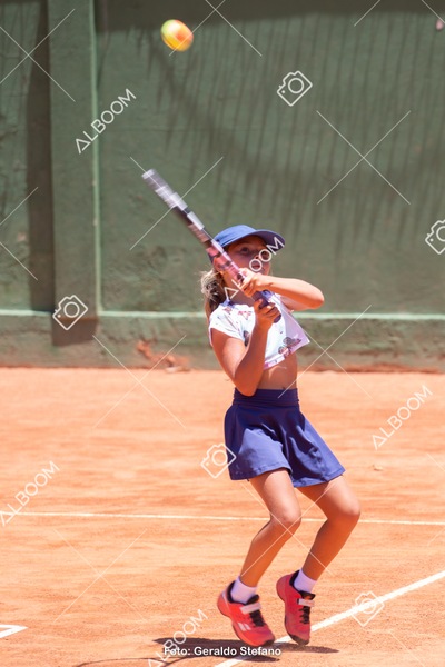 STEF1176 2.jpg