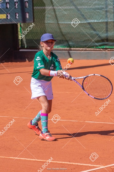 STEF1568.jpg