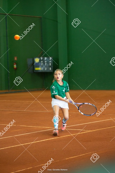 STEF1270.jpg