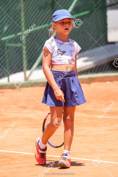 STEF1173 2.jpg