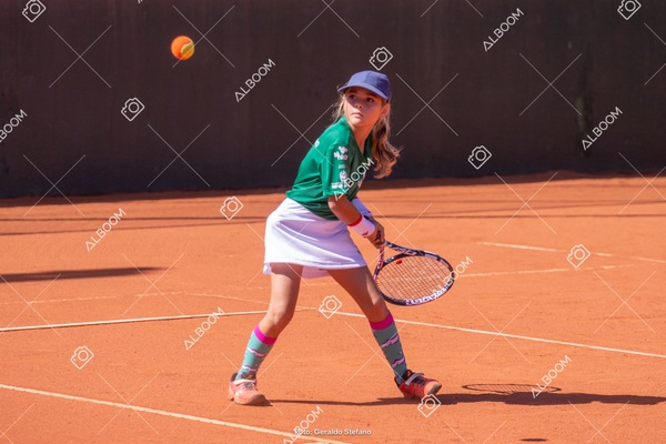 STEF1561.jpg