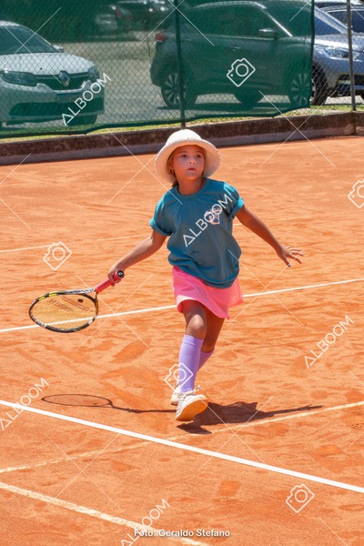 STEF1167.jpg