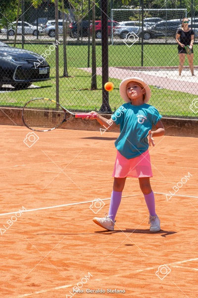 STEF1172.jpg