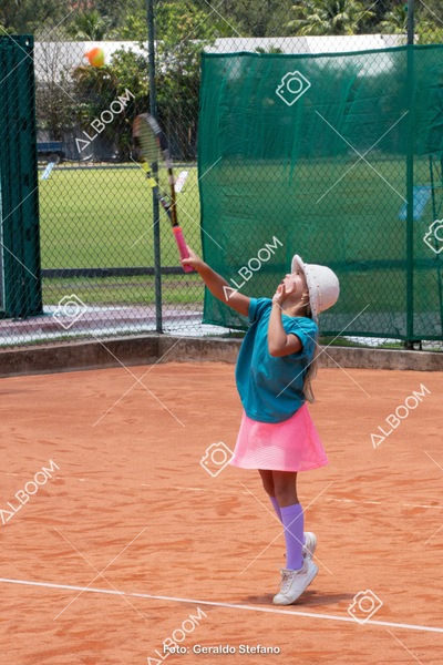 STEF1153.jpg