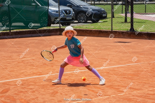 STEF1121.jpg