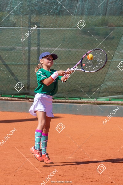 STEF1553.jpg