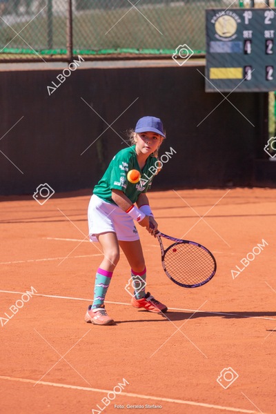STEF1554.jpg