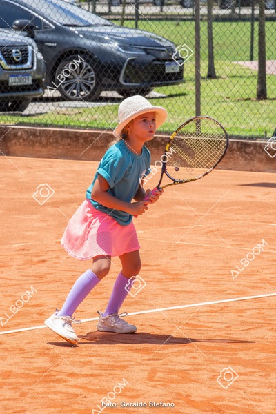 STEF1173.jpg