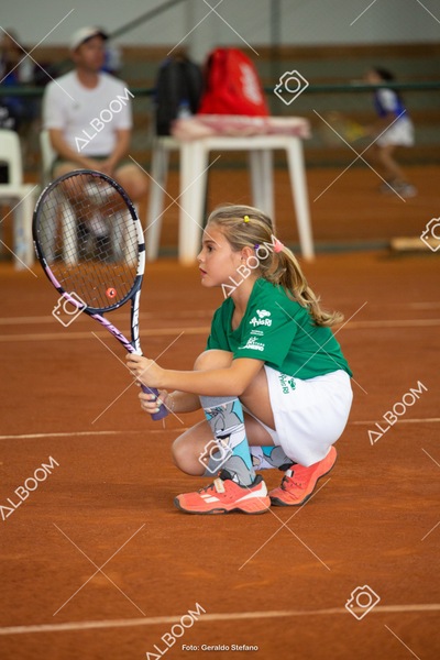 STEF1288.jpg