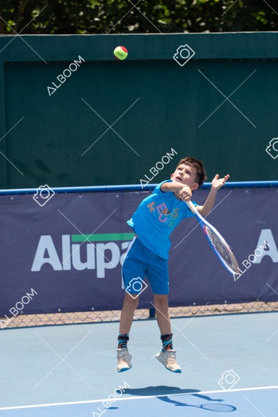 STEF1290.jpg