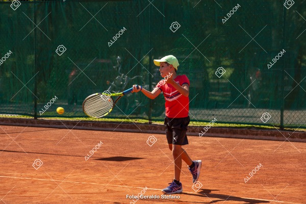 STEF0479.jpg